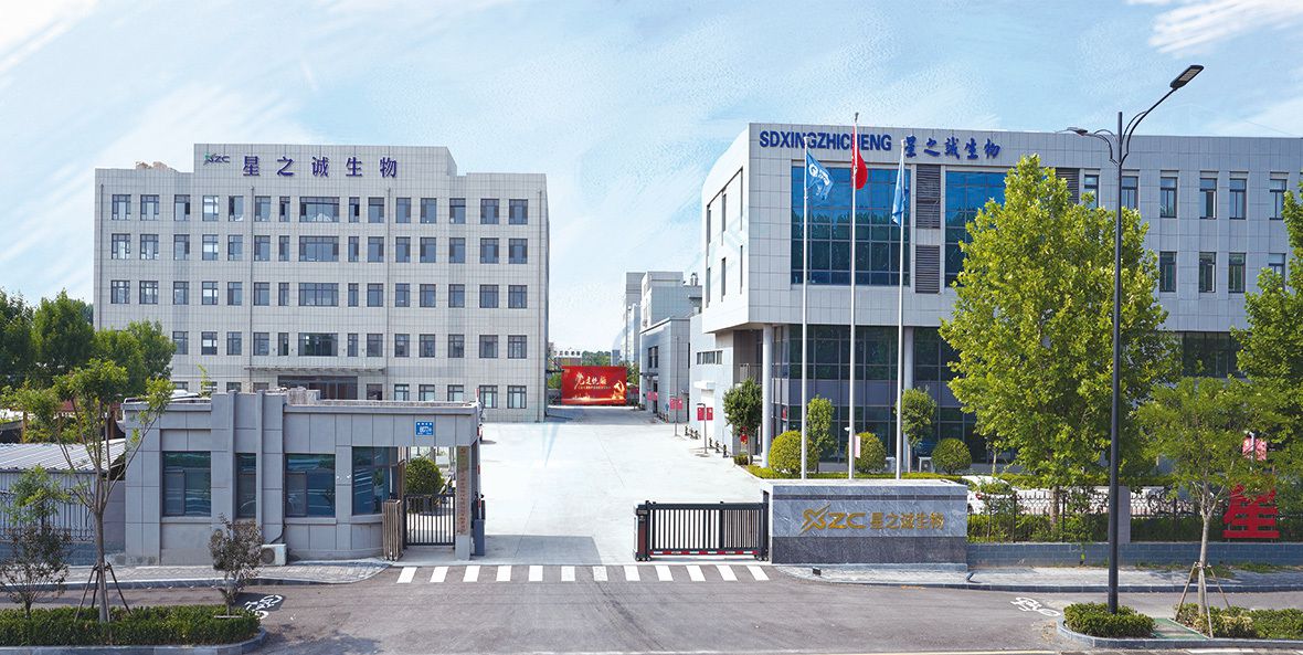 公司介绍