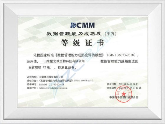 DCMM数据管理能力成熟度等级证书
