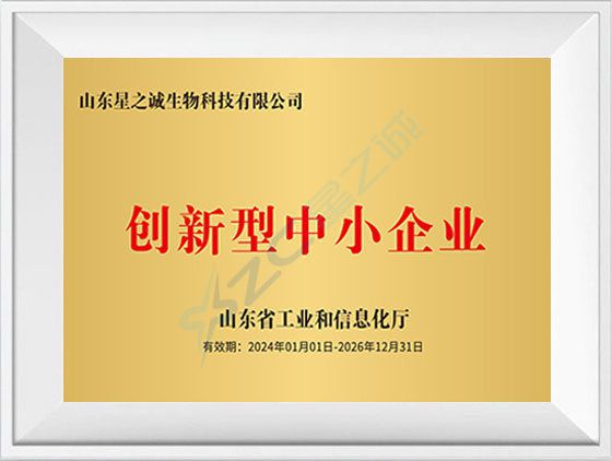 创新型中小企业
