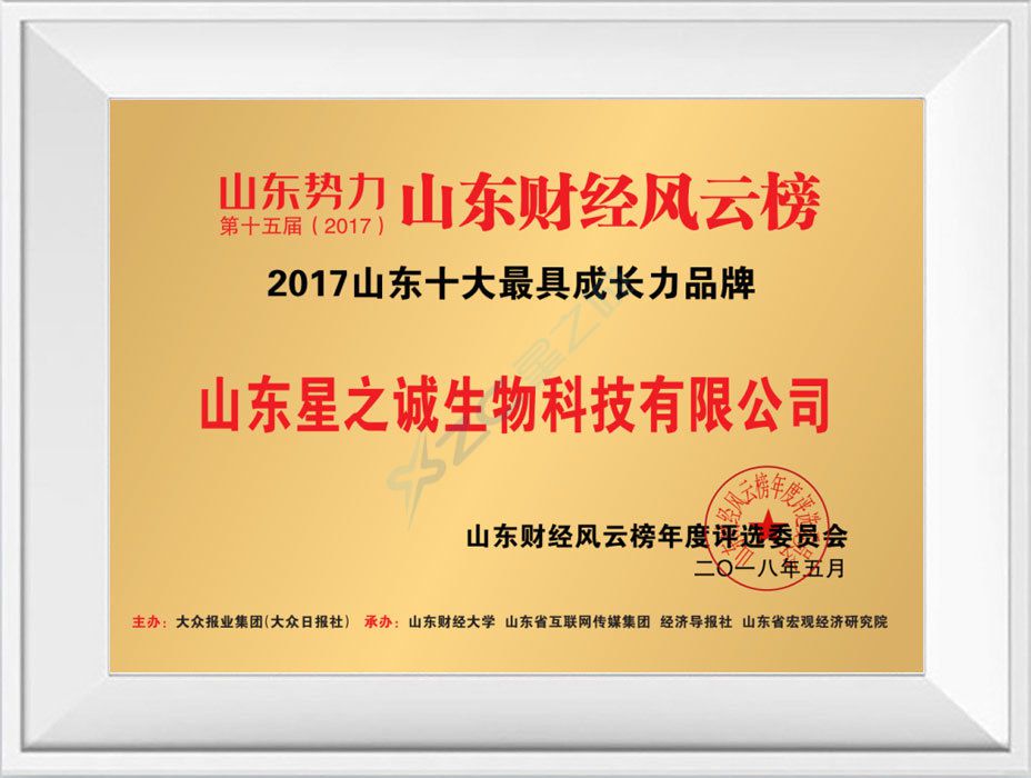 山东十大最具成长力品牌